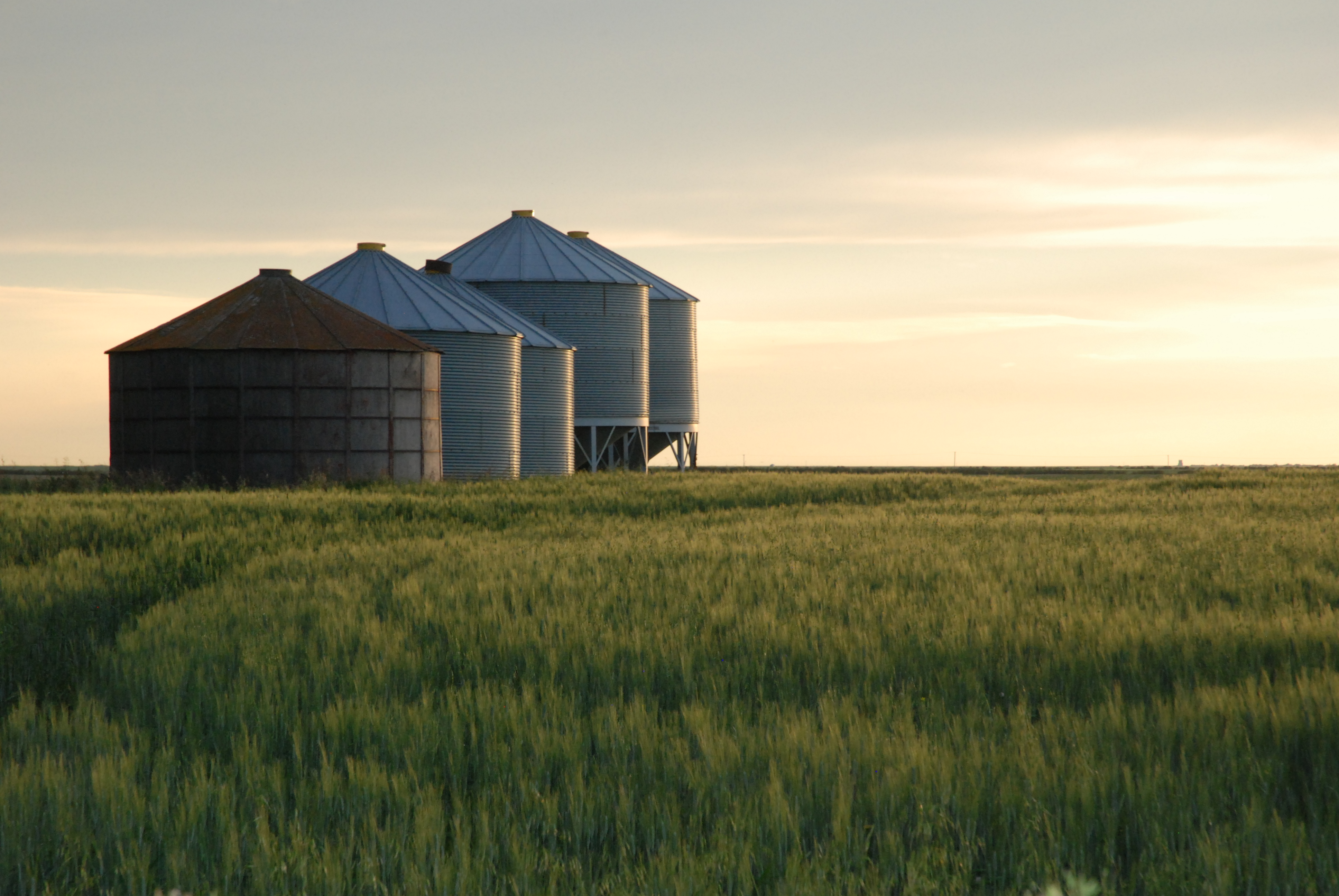 FCC releases 2024 Mid Year Farmland Values Report